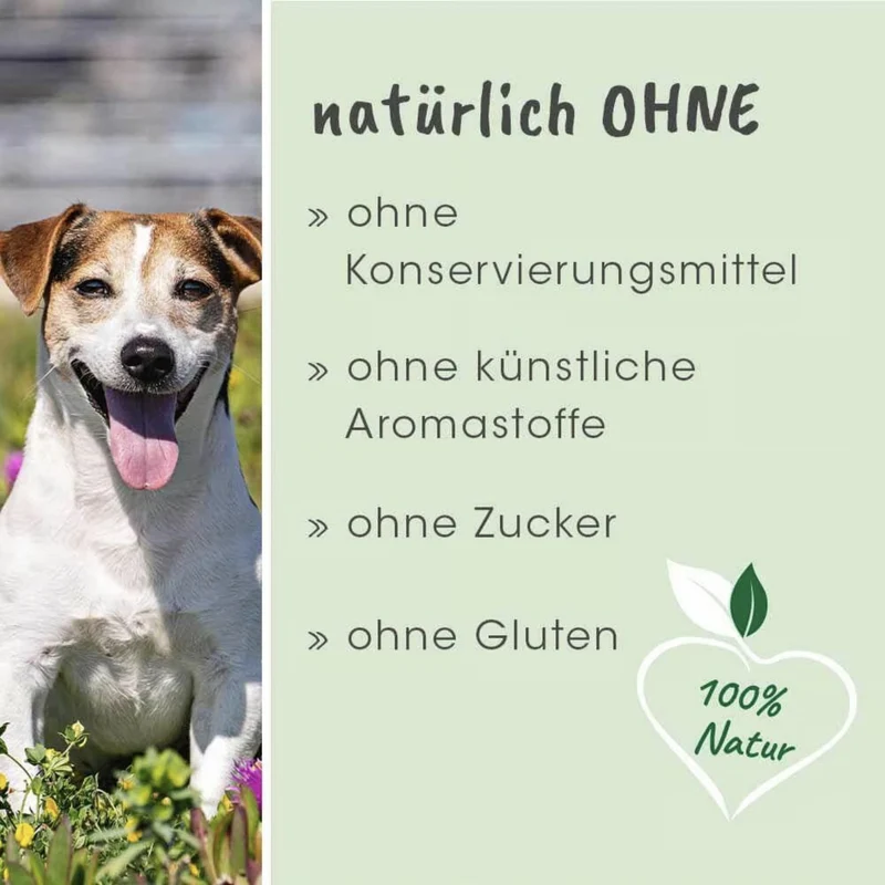 cdVet dentaVet Atemfrisch – Natürliche Lösung gegen Mundgeruch bei Hunden mit Chlorophyll & Kräutern für frischen Atem