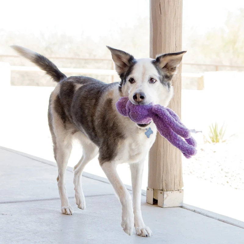 KONG Snugga Wubba – Interaktives Plüsch-Hundespielzeug für sanftes Apportieren, Kuscheln & ruhiges Indoor-Spiel