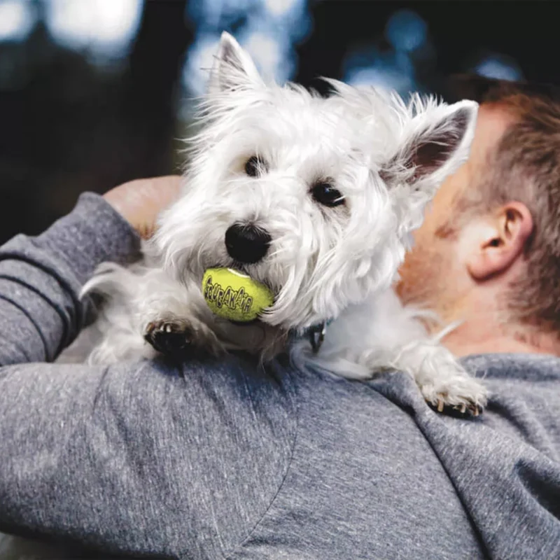 KONG Squeakair Tennisball – Interaktiver Tennisball mit Quietschfunktion, schwimmfähig, robust und perfekt für apportierfreudige Hunde