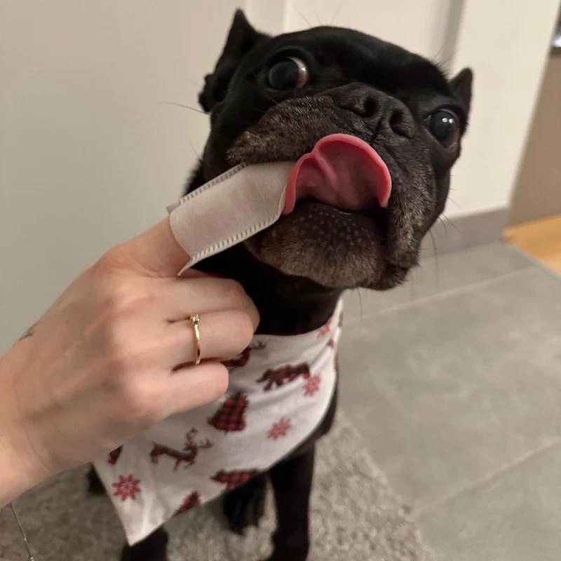 AniForte Denta Clean & Care Fingerpads – Sanfte Zahnpflege für Hunde, Zahnstein vorbeugen, Mundgeruch bekämpfen, frischer Atem