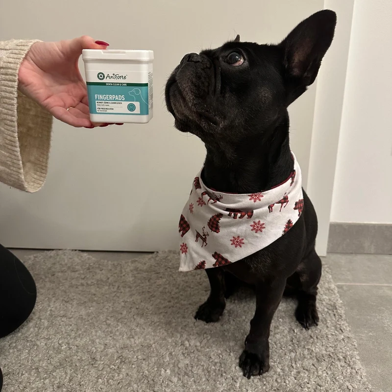 AniForte Denta Clean & Care Zahnpflege Set für Hunde – Effektive Zahnreinigung gegen Plaque, Zahnstein & Mundgeruch mit natürlichem Calcium