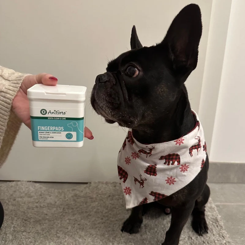 AniForte Denta Clean & Care Fingerpads – Sanfte Zahnpflege für Hunde, Zahnstein vorbeugen, Mundgeruch bekämpfen, frischer Atem
