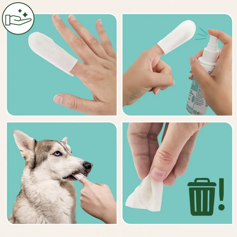 AniForte Denta Clean & Care Zahnpflege Set für Hunde – Effektive Zahnreinigung gegen Plaque, Zahnstein & Mundgeruch mit natürlichem Calcium