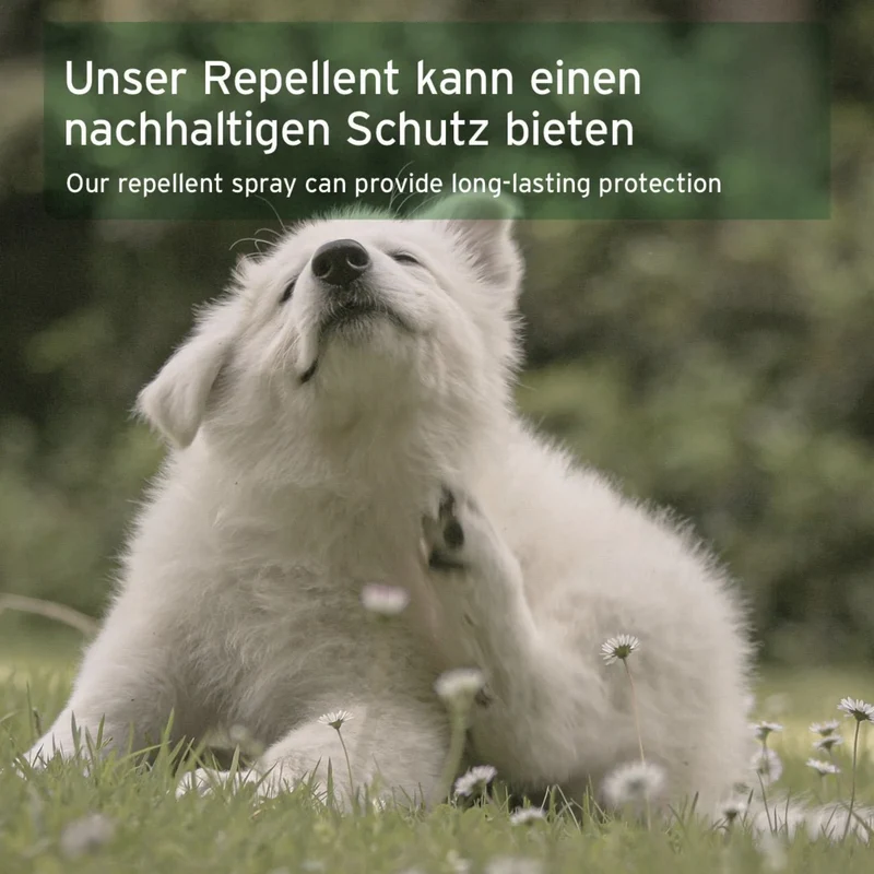 AniForte Ungeziefer-EX Spray für Hunde – Natürlicher Schutz gegen Flöhe, Zecken & Milben für Fell, Körbchen & Textilien