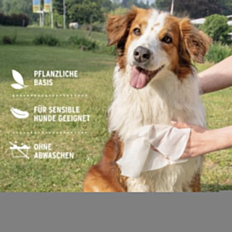AniForte Pflegetücher für Hunde – Sanfte Reinigung für Pfoten, Fell & Gesicht mit Aloe Vera & Hamamelis, Hypoallergen & Mild
