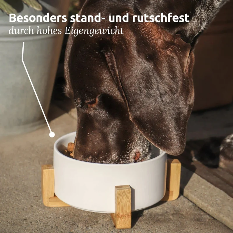 AniForte Keramik Futternapf mit Bambusgestell – Ergonomisch erhöht für gesunde Fresshaltung, rutschfest & spülmaschinenfest