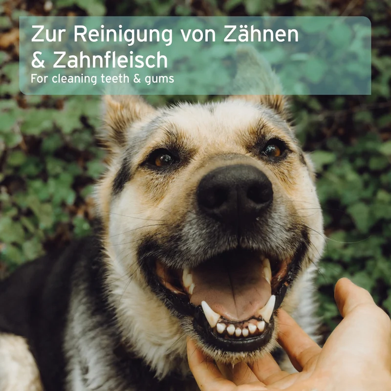 AniForte Denta Clean & Care Fingerpads – Sanfte Zahnpflege für Hunde, Zahnstein vorbeugen, Mundgeruch bekämpfen, frischer Atem