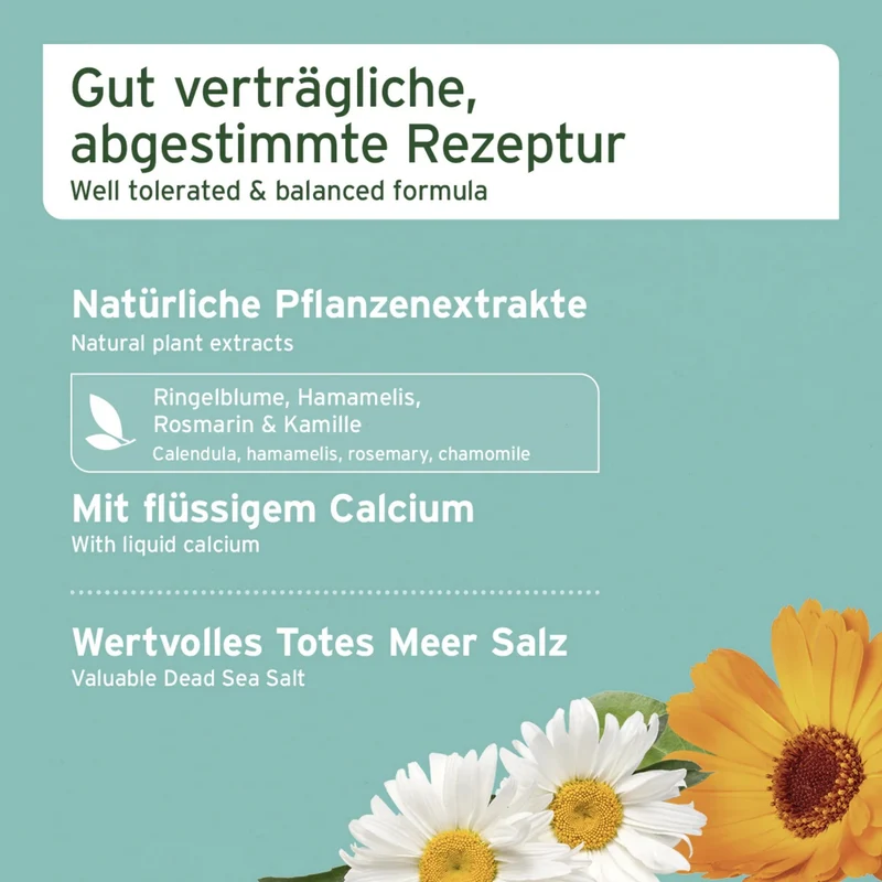AniForte Denta Clean & Care Dentalspray für Hunde – Zahnpflege ohne Bürsten, stärkt Zähne & Zahnfleisch, bekämpft Plaque & Mundgeruch natürlich
