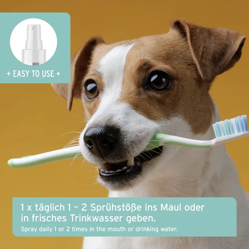 AniForte Denta Clean & Care Dentalspray für Hunde – Zahnpflege ohne Bürsten, stärkt Zähne & Zahnfleisch, bekämpft Plaque & Mundgeruch natürlich