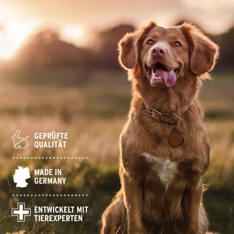 AniForte Denta Clean & Care Dentalspray für Hunde – Zahnpflege ohne Bürsten, stärkt Zähne & Zahnfleisch, bekämpft Plaque & Mundgeruch natürlich