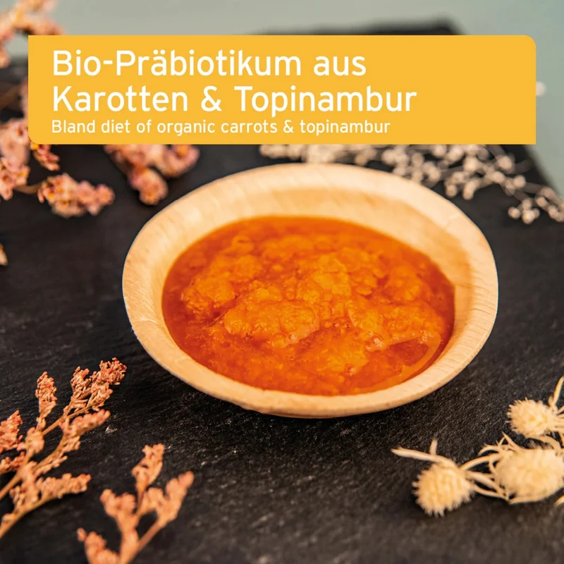 AniForte Bio Morosan Schonkost für Hunde – Natürliche Hilfe bei Durchfall & Verdauungsproblemen, Bio-Qualität mit Morosuppe
