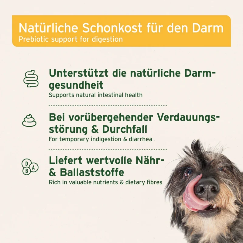 AniForte Bio Morosan Schonkost für Hunde – Natürliche Hilfe bei Durchfall & Verdauungsproblemen, Bio-Qualität mit Morosuppe