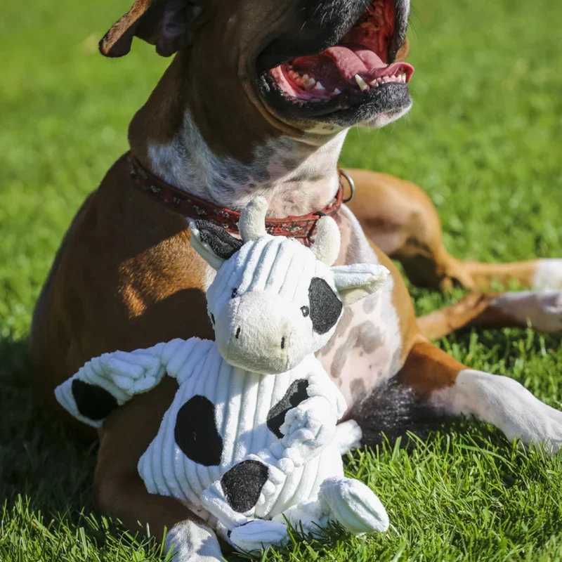 HuggleHounds Dottie Cow Knottie – Robustes Plüschspielzeug mit Quietscher für intensive Kausessions & aktiven Spielspaß