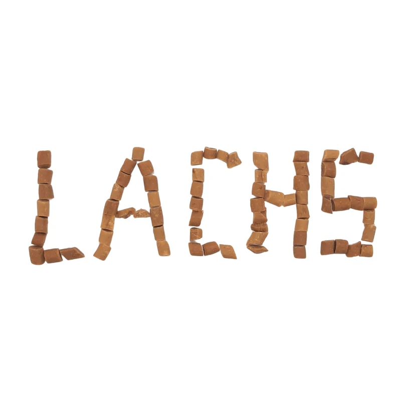 Lachs-Sticks-Trainingssnack