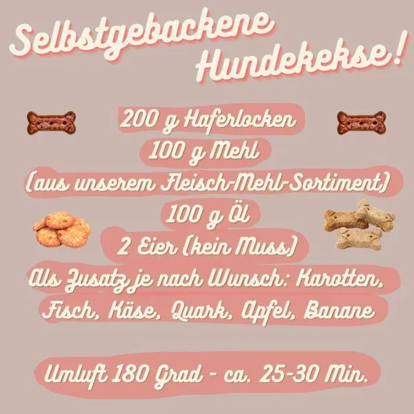 Pferde-Mehl