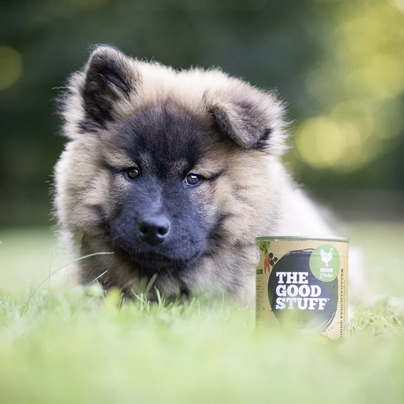 The Goodstuff Puppy/Junior Nassfutter mit Huhn – Premium Welpenfutter für optimales Wachstum, starke Knochen und gesunde Entwicklung | Getreidefrei & Natürlich