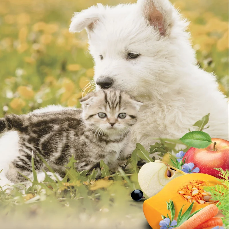 Pro-Nutrition Flatazor Pure Life Adult Medium – Getreidefreies Premium-Hundefutter für mittelgroße Hunde mit empfindlicher Verdauung, reich an tierischen Proteinen & Omega-Fettsäuren für gesundes Fell