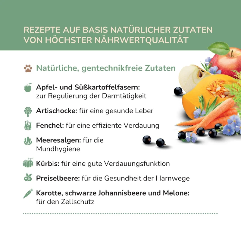 Flatazor Pro-Nutrition Pure Life Adult Mini – Premium Trockenfutter für kleine Hunde mit empfindlicher Verdauung, glutenfrei & natürlich