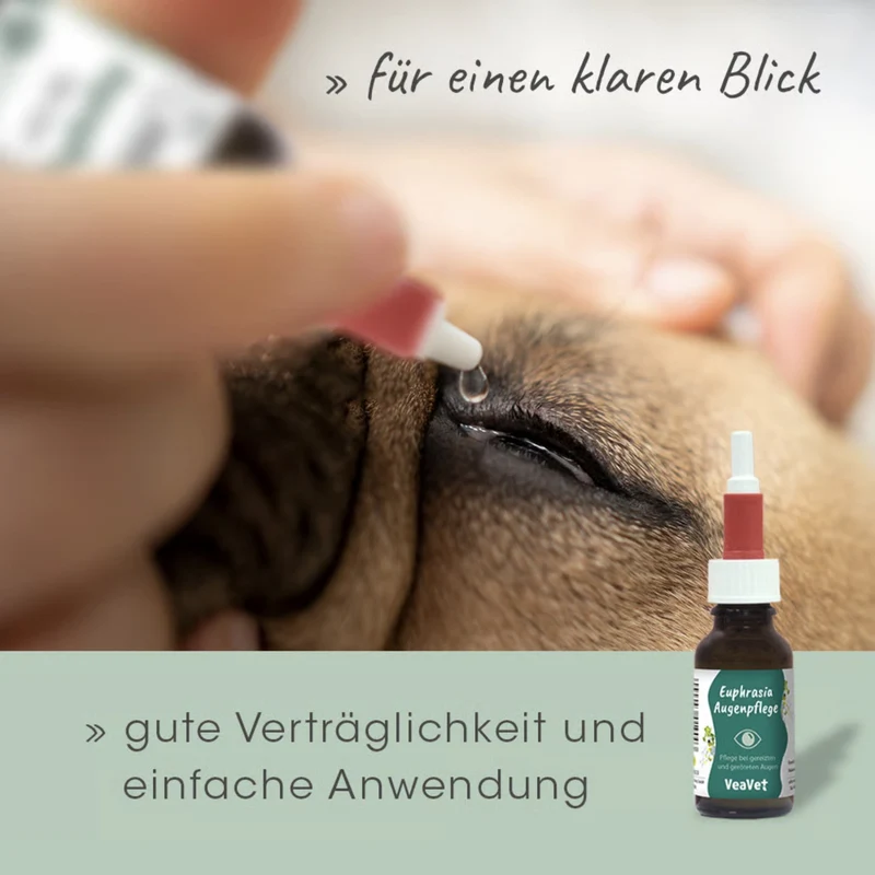 cdVet VeaVet Euphrasia Augenpflege für Hunde & Katzen – Natürliche Lösung bei geröteten, verkrusteten & gereizten Augen mit Augentrost & Rosenwasser