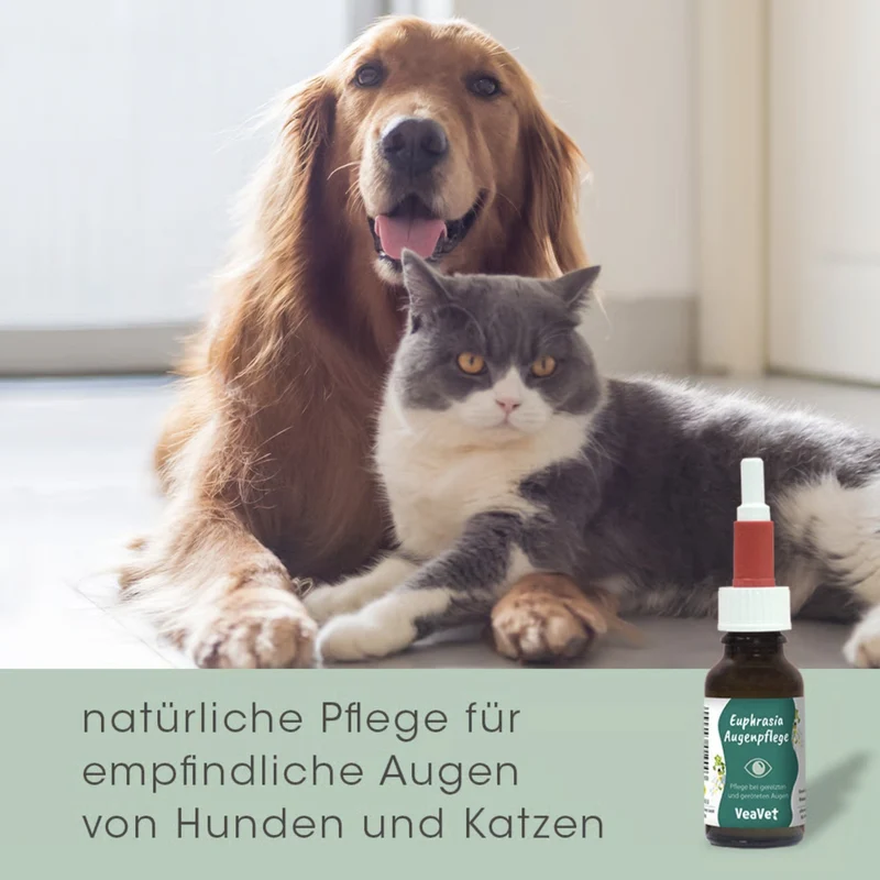 cdVet VeaVet Euphrasia Augenpflege für Hunde & Katzen – Natürliche Lösung bei geröteten, verkrusteten & gereizten Augen mit Augentrost & Rosenwasser