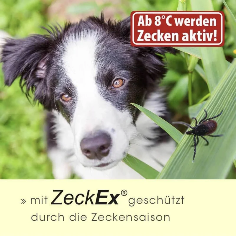 cdVet ZeckEx Spray – Premium Zeckenschutz für Hunde & Katzen | Natürliche Sofortwirkung gegen Zecken & Milben