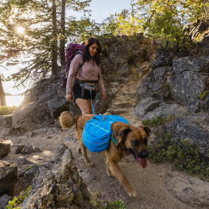 Ruffwear Flagline Leash – Wetterfeste Premium-Hundeleine mit rutschfestem Griff für aktive Hunde und anspruchsvolle Outdoor-Abenteuer