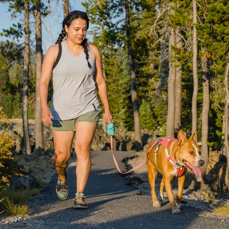 Ruffwear Flagline Leash – Wetterfeste Premium-Hundeleine mit rutschfestem Griff für aktive Hunde und anspruchsvolle Outdoor-Abenteuer