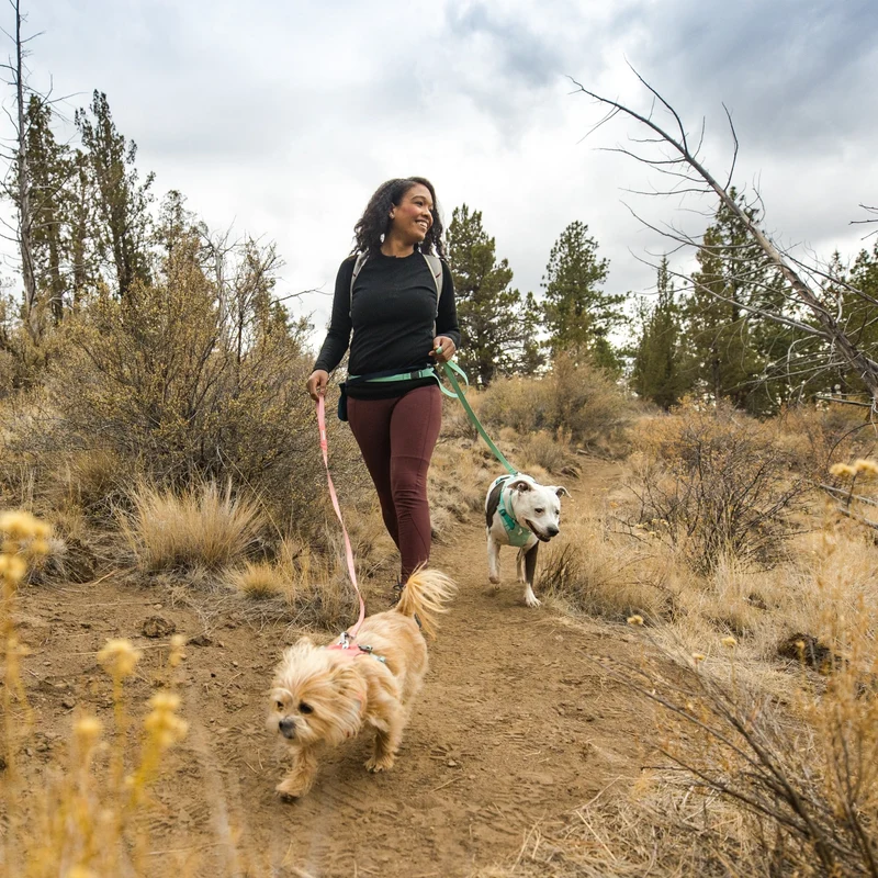Ruffwear Flagline Leash – Wetterfeste Premium-Hundeleine mit rutschfestem Griff für aktive Hunde und anspruchsvolle Outdoor-Abenteuer