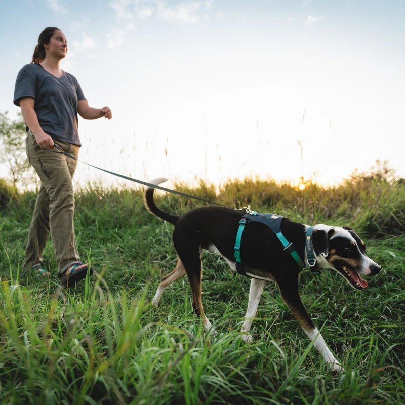 Ruffwear Hi & Light Collar – Ultraleichtes, reflektierendes Hundehalsband für aktive Abenteurer und sportliche Vierbeiner