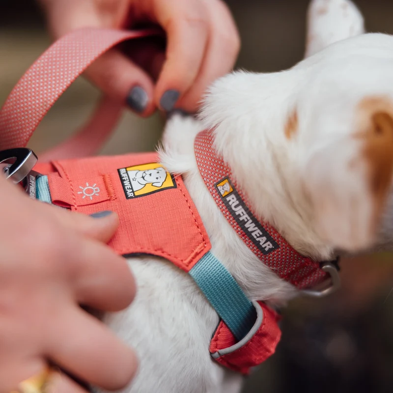 Ruffwear Hi & Light Collar – Ultraleichtes, reflektierendes Hundehalsband für aktive Abenteurer und sportliche Vierbeiner