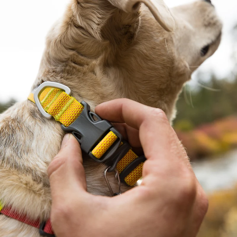 Ruffwear Hi & Light Collar – Ultraleichtes, reflektierendes Hundehalsband für aktive Abenteurer und sportliche Vierbeiner