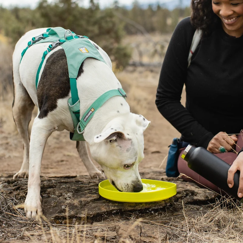Ruffwear Hi & Light Collar – Ultraleichtes, reflektierendes Hundehalsband für aktive Abenteurer und sportliche Vierbeiner
