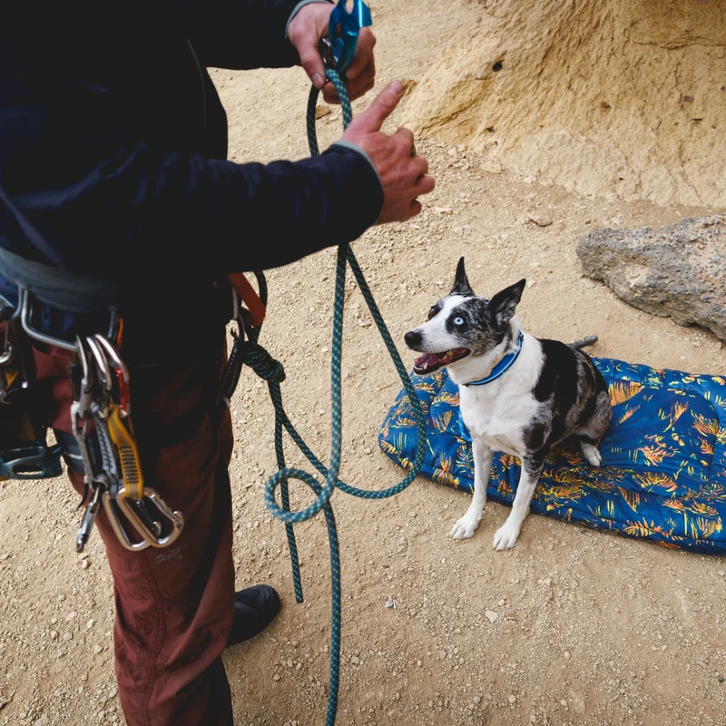 Ruffwear Basecamp Bed – Robustes Outdoor-Hundebett für Abenteurer, Camper & Reisen | Wasserabweisend, Leicht & Maschinenwaschbar