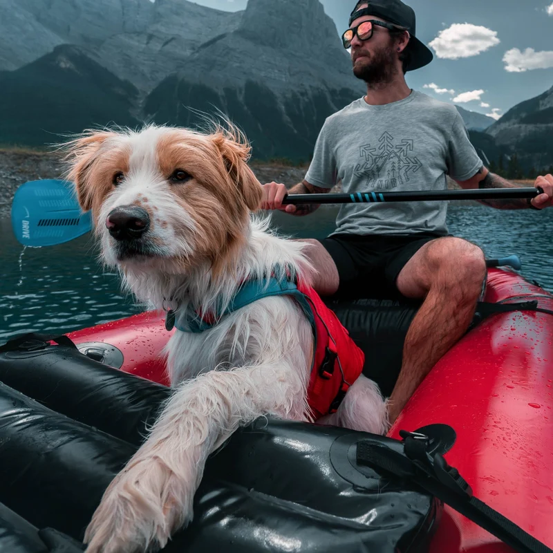 Kurgo Surf N Turf Hundeschwimmweste – Maximale Sicherheit & Auftrieb für Wasserabenteuer mit deinem Hund