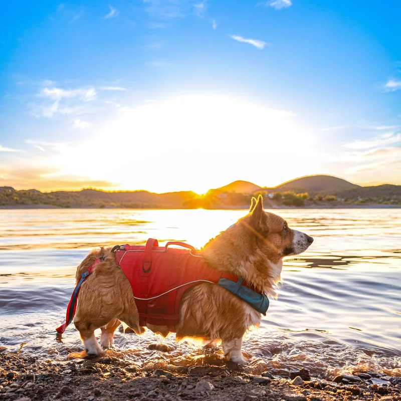 Kurgo Surf N Turf Hundeschwimmweste – Maximale Sicherheit & Auftrieb für Wasserabenteuer mit deinem Hund