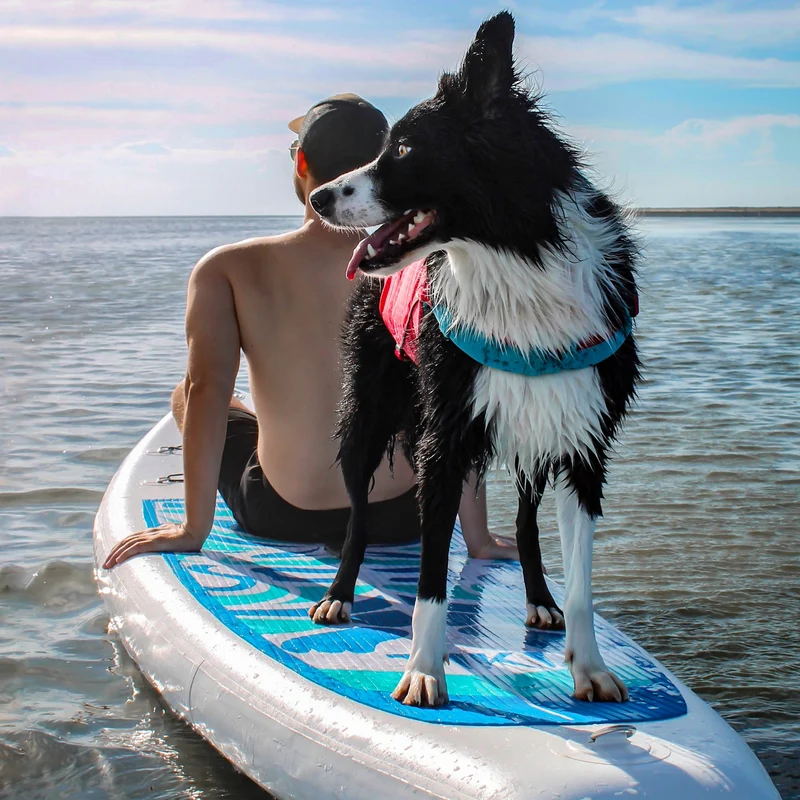 Kurgo Surf N Turf Hundeschwimmweste – Maximale Sicherheit & Auftrieb für Wasserabenteuer mit deinem Hund