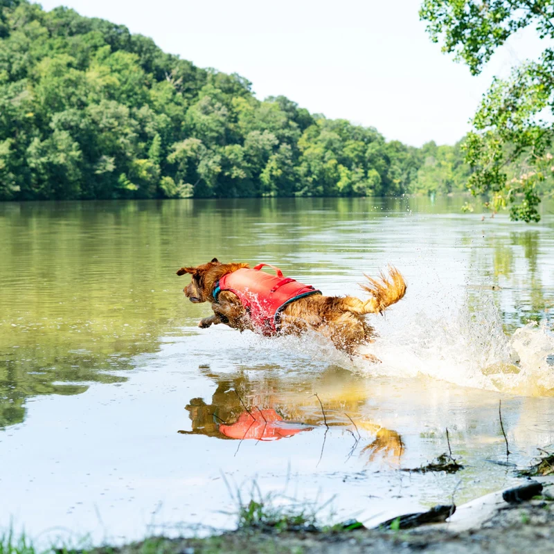 Kurgo Surf N Turf Hundeschwimmweste – Maximale Sicherheit & Auftrieb für Wasserabenteuer mit deinem Hund