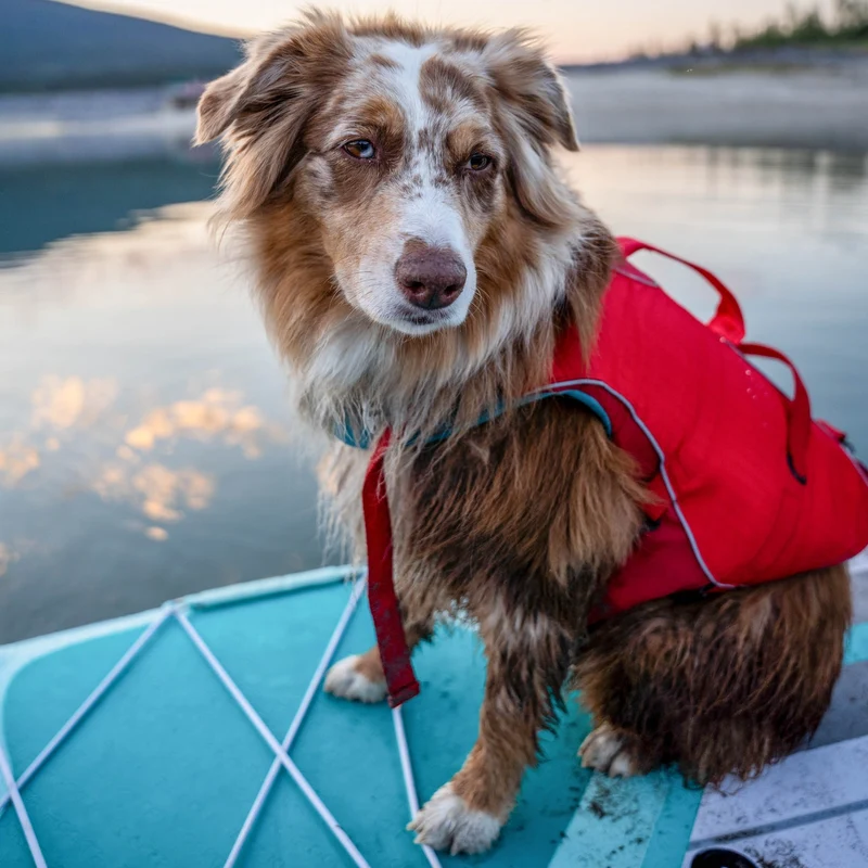 Kurgo Surf N Turf Hundeschwimmweste – Maximale Sicherheit & Auftrieb für Wasserabenteuer mit deinem Hund