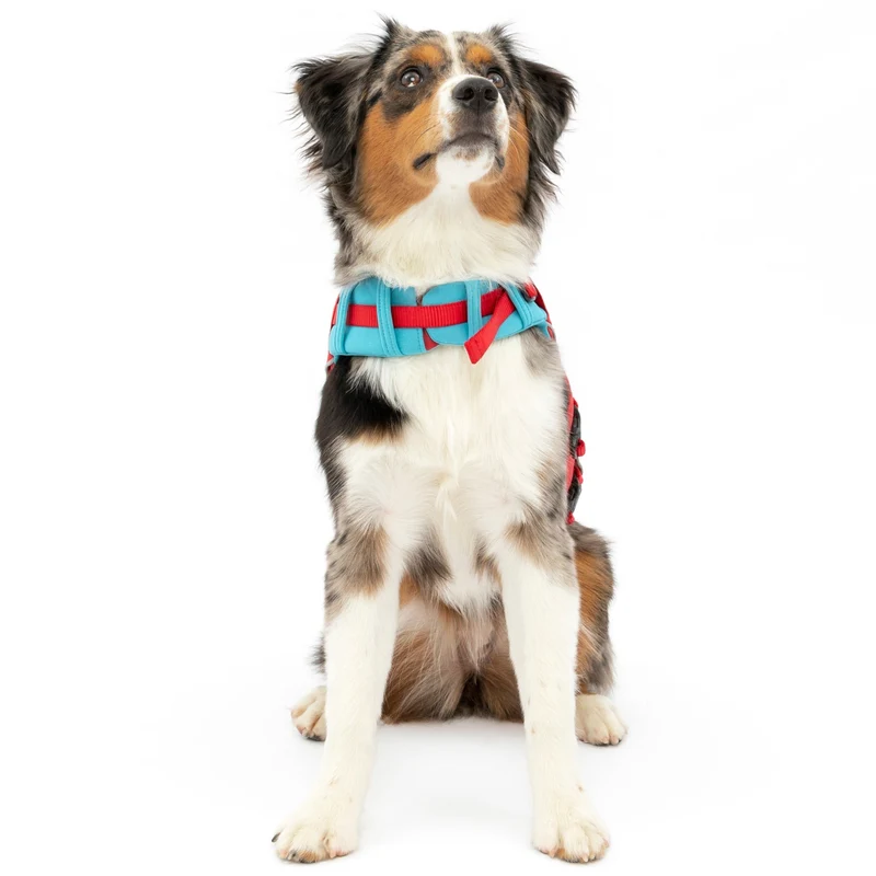Kurgo Surf N Turf Hundeschwimmweste – Maximale Sicherheit & Auftrieb für Wasserabenteuer mit deinem Hund