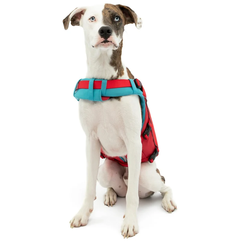Kurgo Surf N Turf Hundeschwimmweste – Maximale Sicherheit & Auftrieb für Wasserabenteuer mit deinem Hund