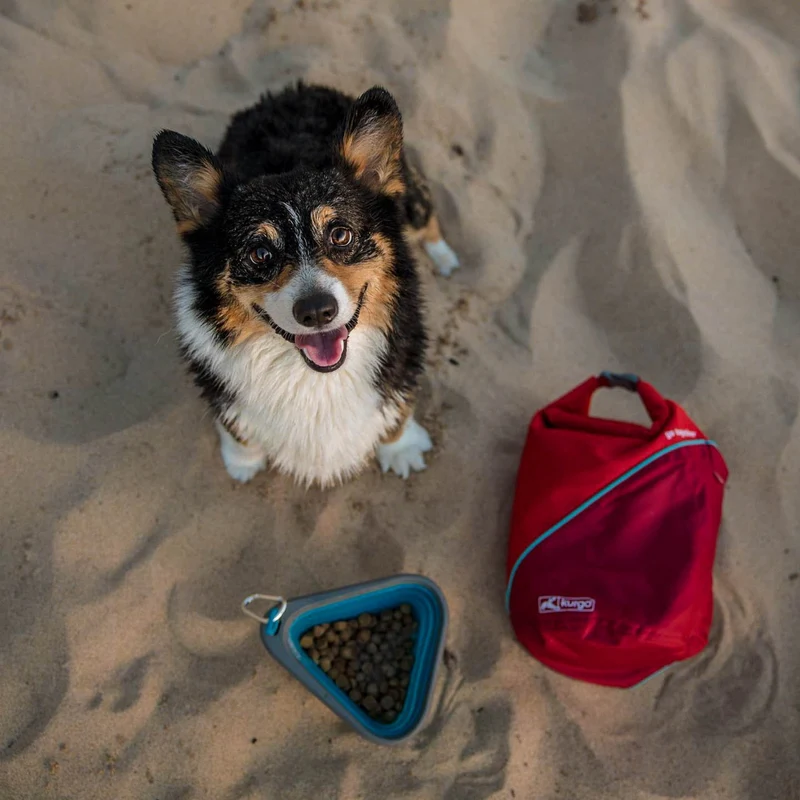 Kurgo Kibble Carrier – Auslaufsicherer Hundefutterbehälter für unterwegs | Perfekt für Reisen, Wandern & Outdoor-Abenteuer mit Hund