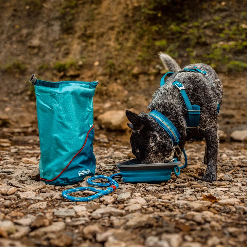 Kurgo Kibble Carrier – Auslaufsicherer Hundefutterbehälter für unterwegs | Perfekt für Reisen, Wandern & Outdoor-Abenteuer mit Hund