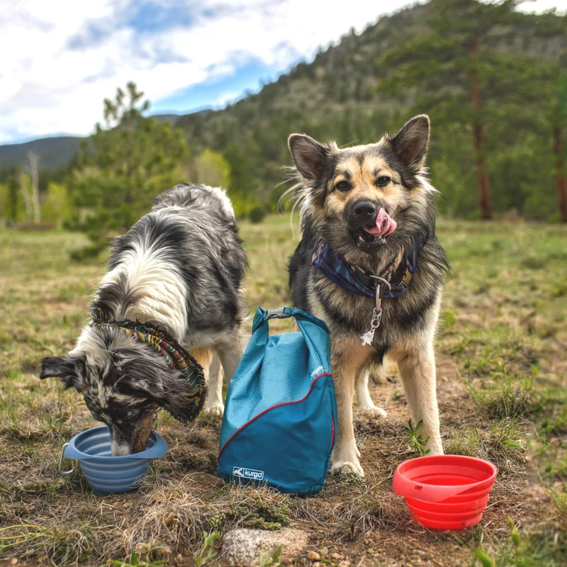 Kurgo Kibble Carrier – Auslaufsicherer Hundefutterbehälter für unterwegs | Perfekt für Reisen, Wandern & Outdoor-Abenteuer mit Hund