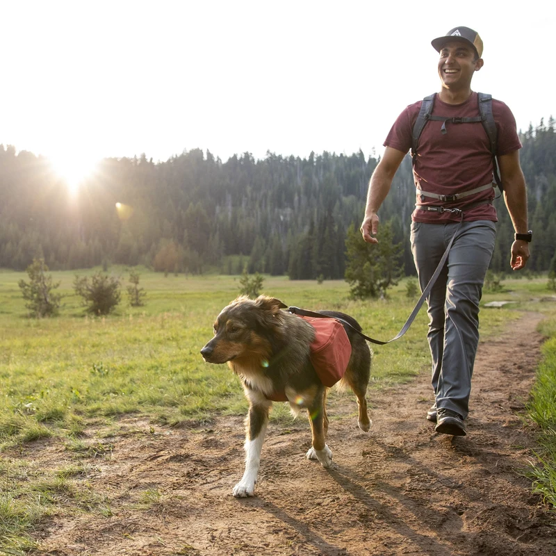 Ruffwear Switchbak Leash Hundeleine – Rutschfester Griff für perfekte Kontrolle bei Nässe, Regen & Schnee | Schulterleine