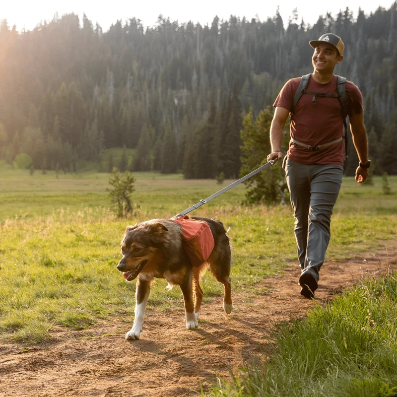 Ruffwear Switchbak Leash Hundeleine – Rutschfester Griff für perfekte Kontrolle bei Nässe, Regen & Schnee | Schulterleine