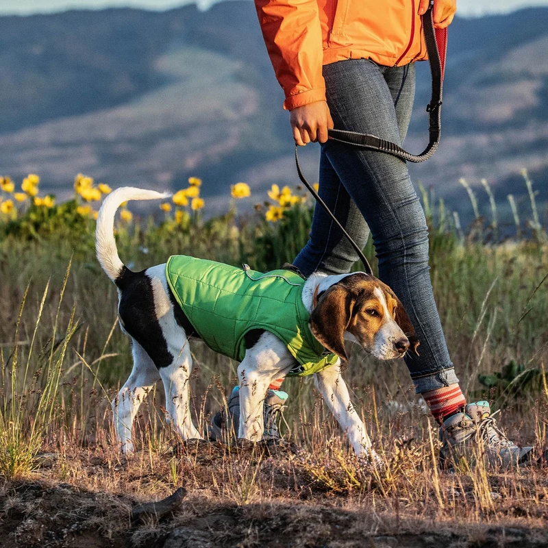Kurgo Springback Leash – Stoßdämpfende Hundeleine mit Ruckabsorption für entspannte Spaziergänge ohne Ziehen