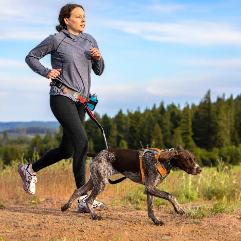 Kurgo Springback Leash – Stoßdämpfende Hundeleine mit Ruckabsorption für entspannte Spaziergänge ohne Ziehen