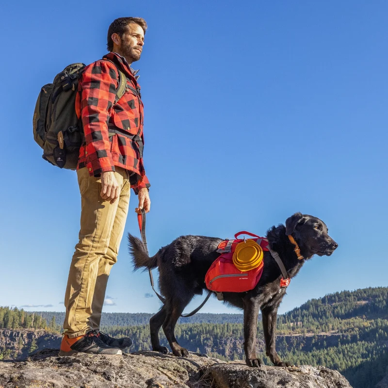 Kurgo Springback Leash – Stoßdämpfende Hundeleine mit Ruckabsorption für entspannte Spaziergänge ohne Ziehen