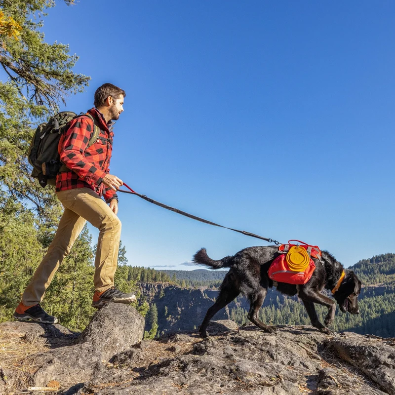 Kurgo Springback Leash – Stoßdämpfende Hundeleine mit Ruckabsorption für entspannte Spaziergänge ohne Ziehen