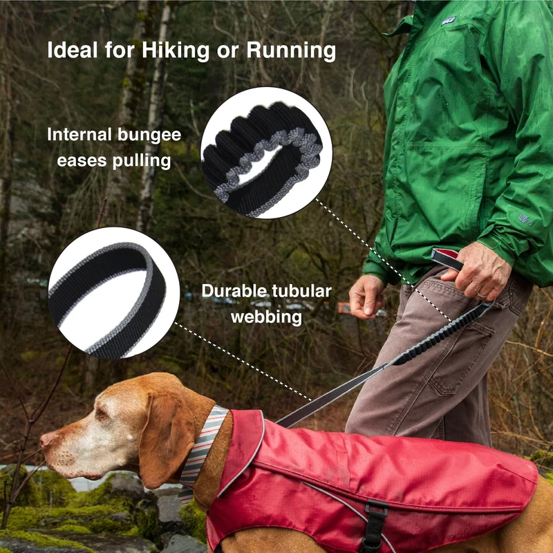 Kurgo Springback Leash – Stoßdämpfende Hundeleine mit Ruckabsorption für entspannte Spaziergänge ohne Ziehen